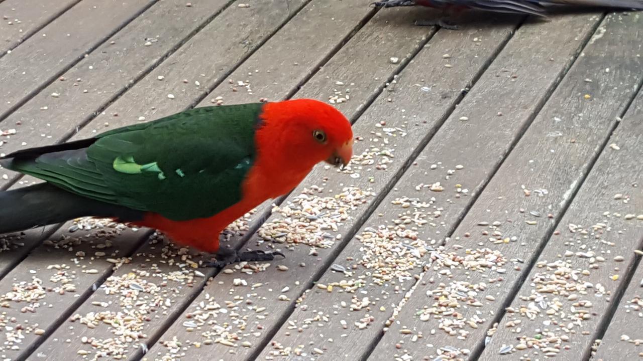 Wilsons Promontory Motel Foster Eksteriør bilde